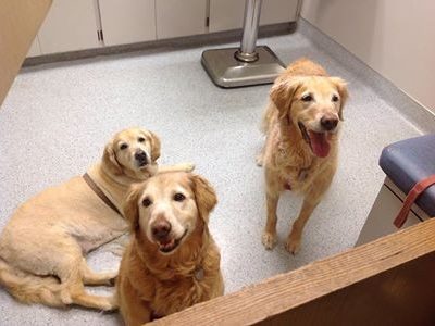 In for their check-up, what pretty ladies and so sweet!